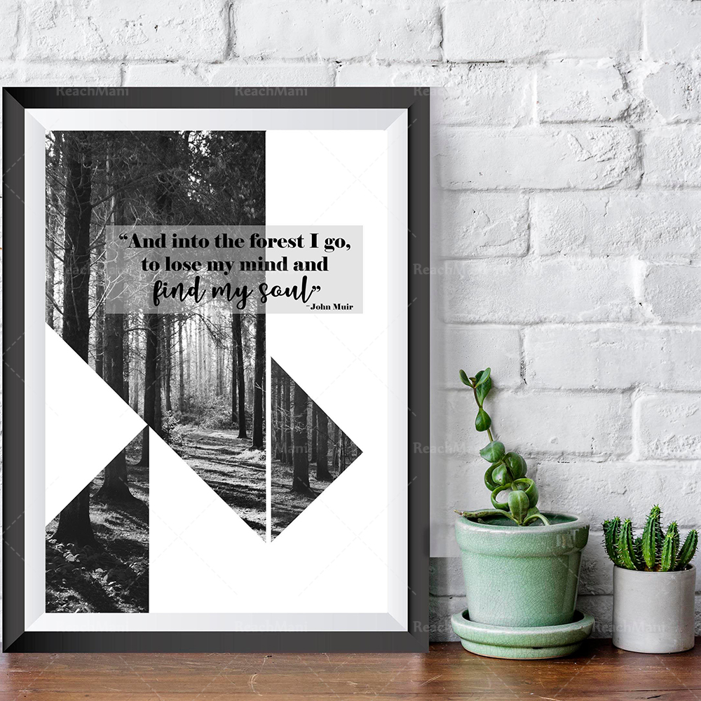 Photography Quotes Inspirational - Black and white forest prints/natural prints