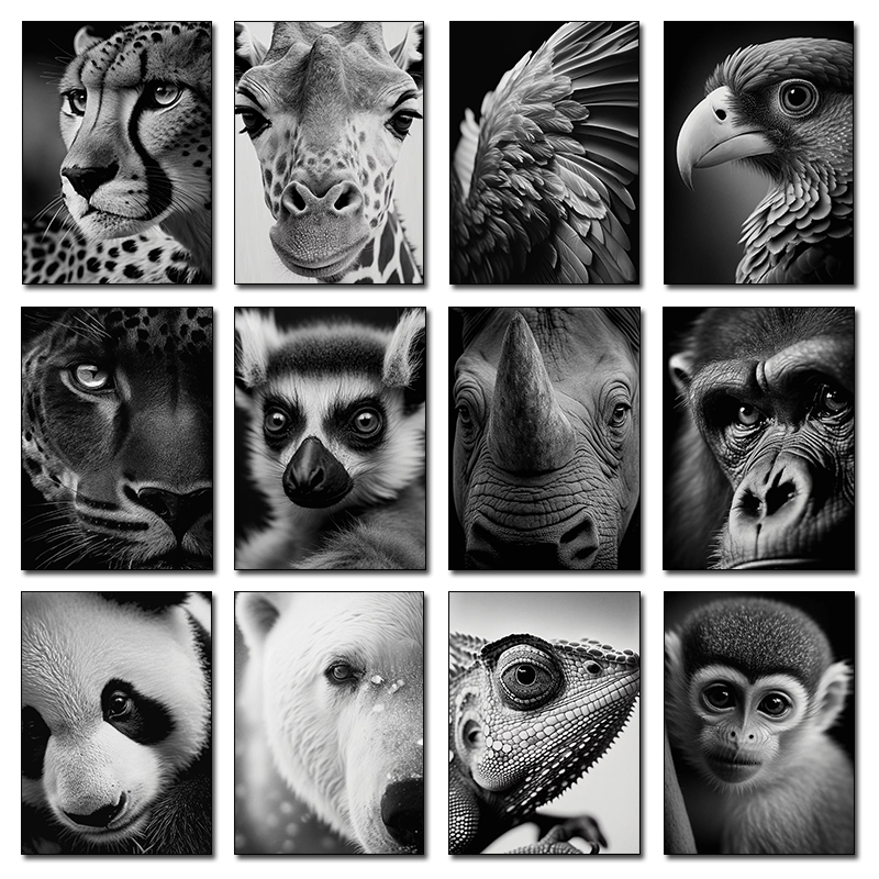 Wildlife Animals Photography P - Photography Close Up incelemesi ve fiyatı