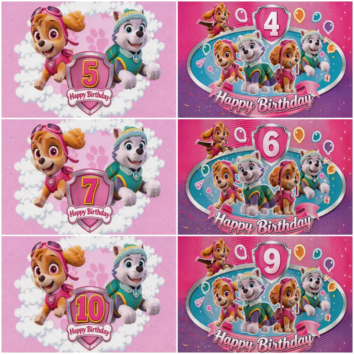 Animation PAW Patrol Ryder Sky - Photography Composition incelemesi ve fiyatı